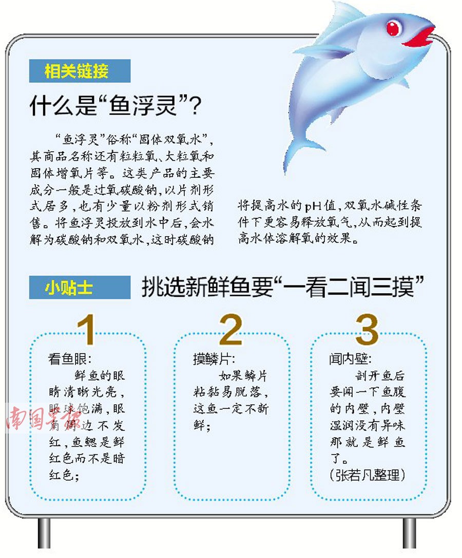 网传"鱼浮灵"让鱼"一秒复活" 吃后致癌?(图)