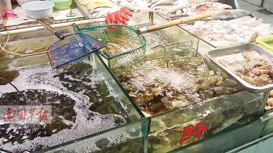 网传"鱼浮灵"让鱼"一秒复活" 吃后致癌?(图)