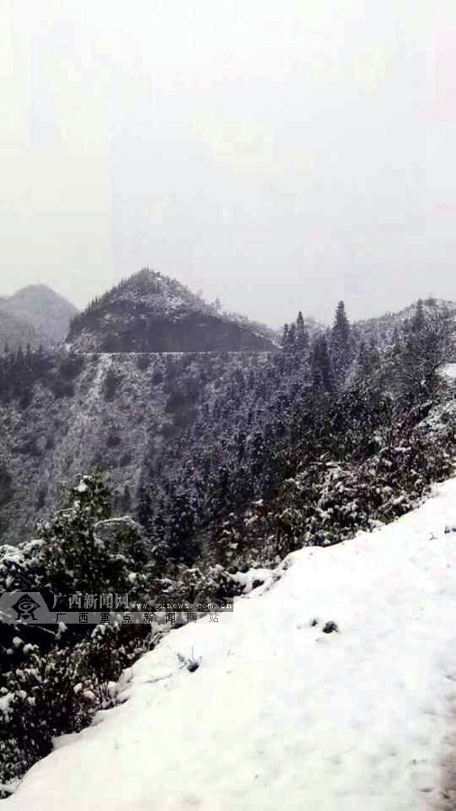 高清百色隆林田林等地降雪雪景醉人59