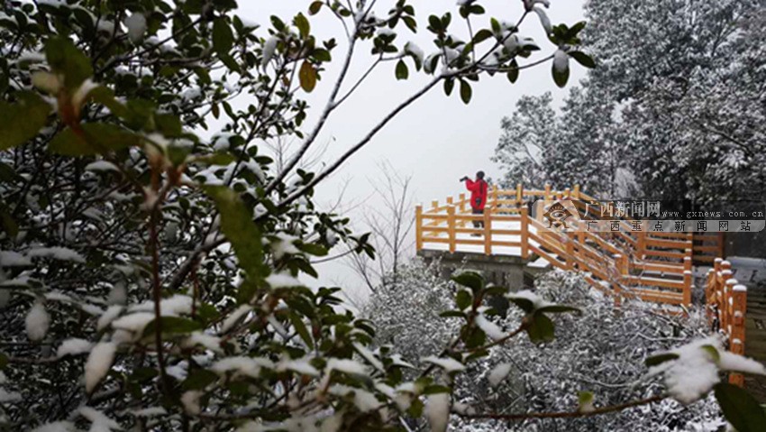 乐业雪景图片