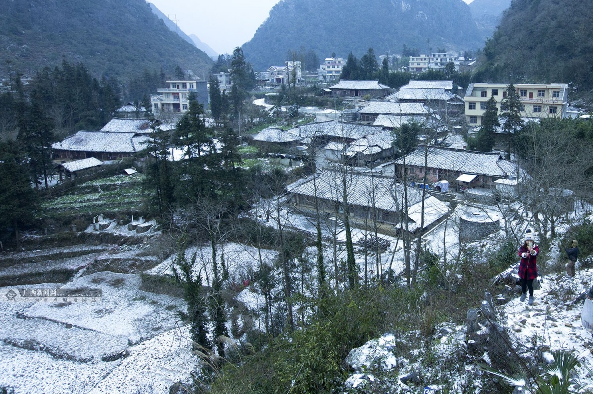 高清:下雪了!凌云乐业银装素裹宛如仙境(8/18)