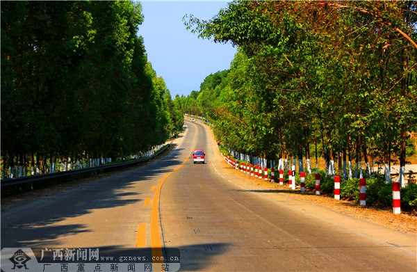 桂中公路局开展义务植树活动 美化公路环境-广西新闻网