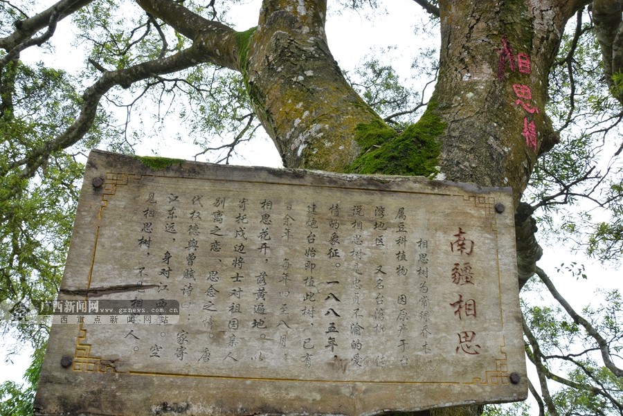 ��ɽ����̨Ⱥ������Խ�߾�