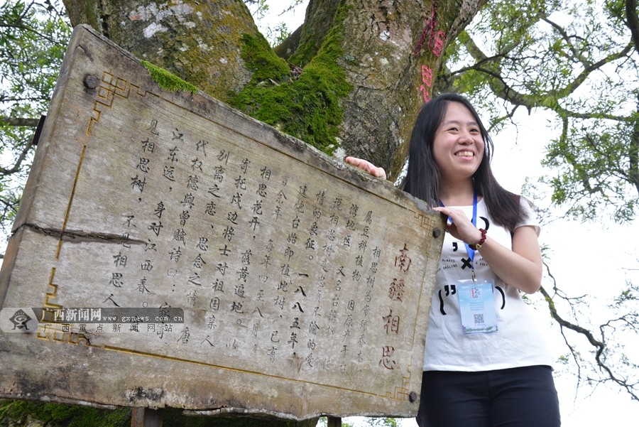 ��ɽ����̨Ⱥ������Խ�߾�