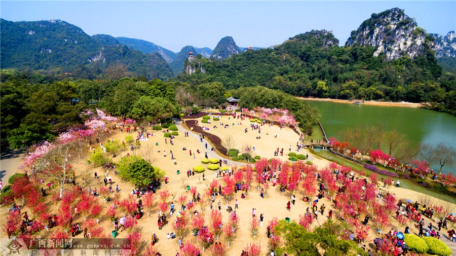 柳州桃花岛景点在哪里图片