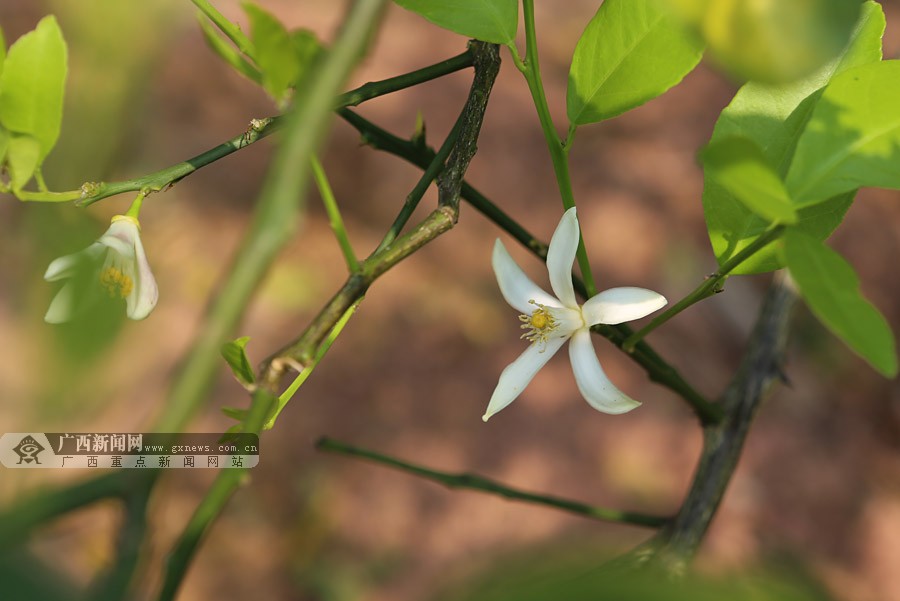 ̨̽ũҵ԰ ˼ſڵġ顱