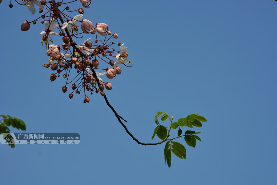 ̨̽ũҵ԰ ˼ſڵġ顱