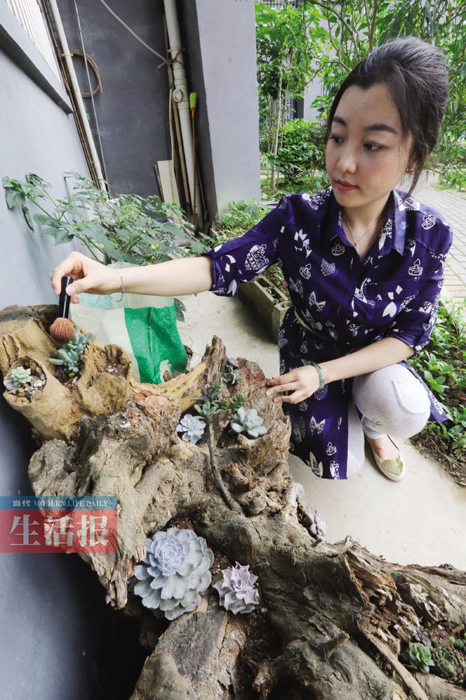 广西艺术学院一美女老师把多肉养成艺术品(组图) (2)