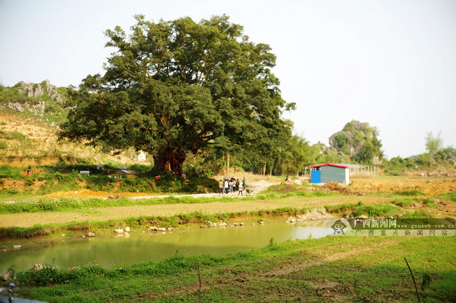 ɽׯԳʽչ ̽ƶ·(ͼ)