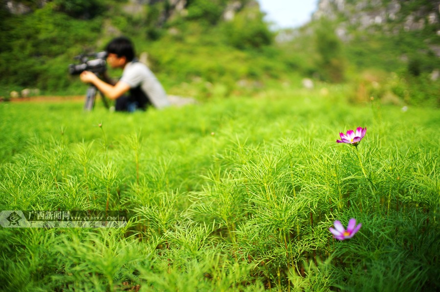 ɽׯԳʽչ ̽ƶ·(ͼ)