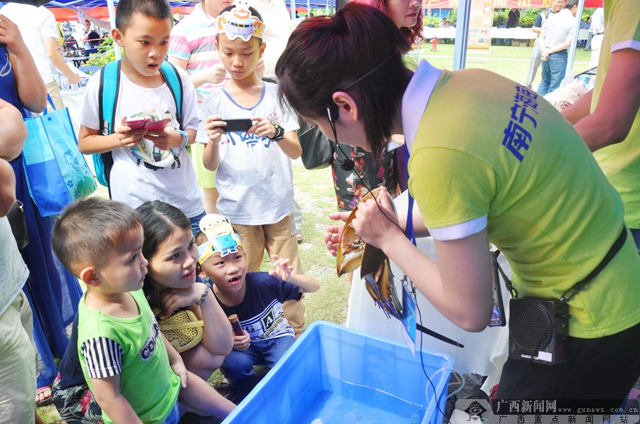 壺2016ȫƼܹӰ