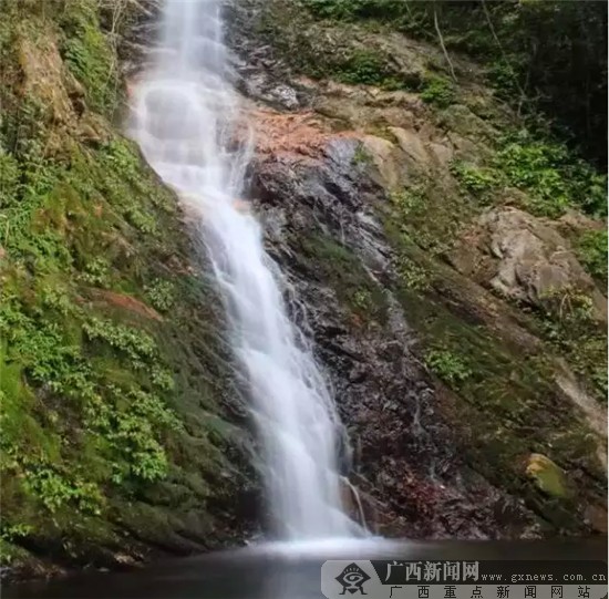 西岭山左边是涝溪山,右边是水洋溪山,西岭山里也有个洋溪山.