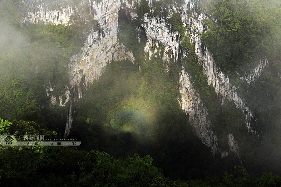 ���壺��ҵ���Ⱥ����ɭ���е�������Դ