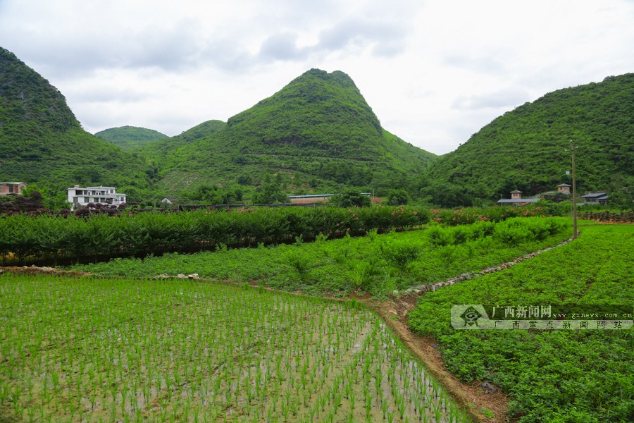 ƽֶɺӴ壺ɽɽӪɫҵ(ͼ)