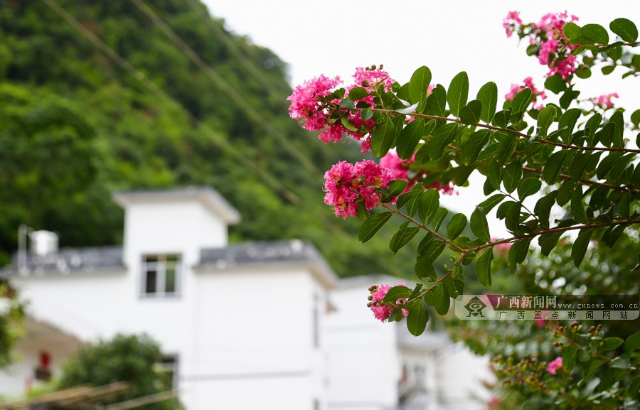 ƽֶɺӴ壺ɽɽӪɫҵ(ͼ)