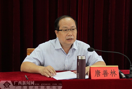 玉林市委宣传部副部长,市文明办主任唐善林讲话.