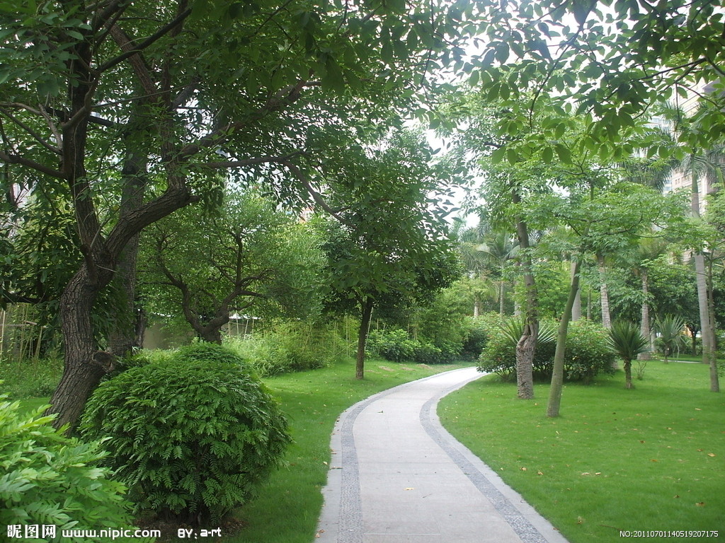 图片信息:公园b