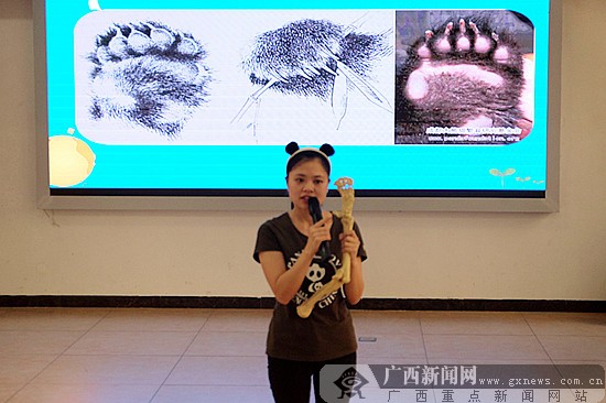 成都大熊猫繁育基地的老师给学生们讲解熊猫的进化史.