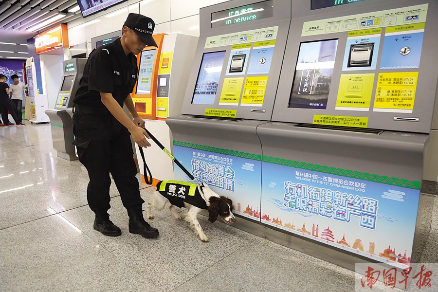 搜爆犬"库里"在地铁里工作. 地铁公安供图