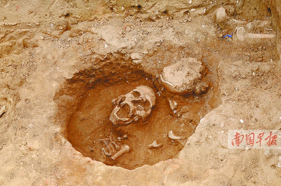 南宁那北咀贝丘遗址开大嘴头骨成待解之谜图3