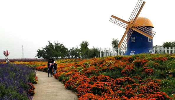 ������԰������������� ȫ����ý�߽����������