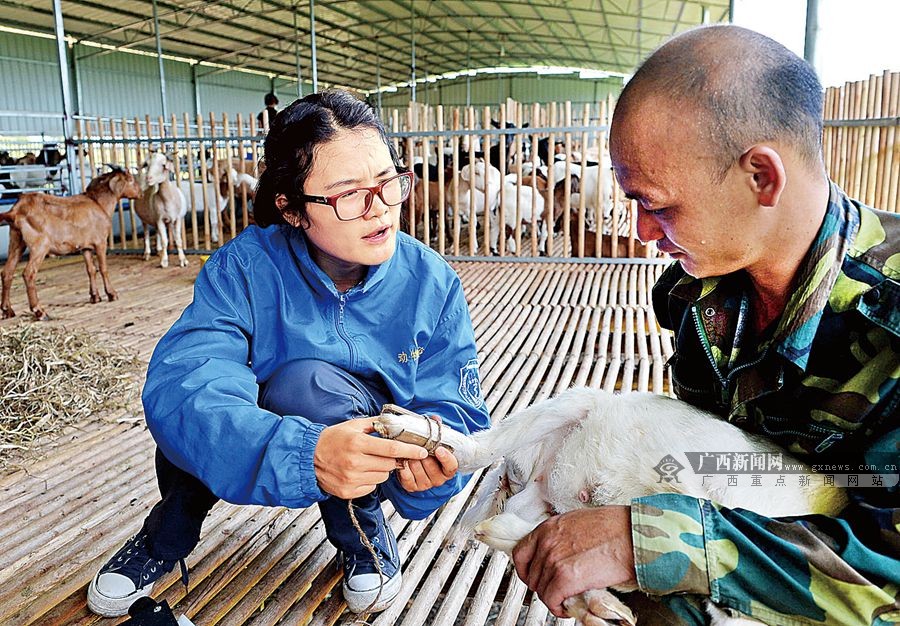 一束馬尾辮,戴著一副大眼鏡,活脫脫一副學生樣,可蔣豔工作起來卻毫不