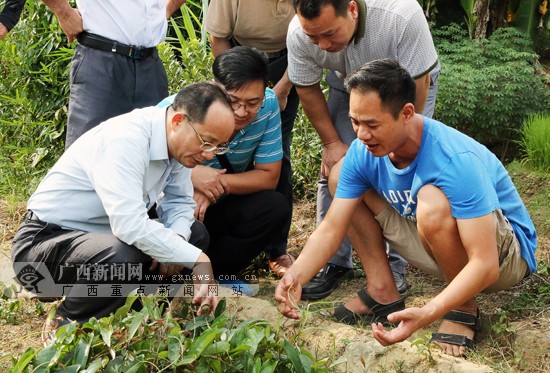广西新闻网藤县10月8日讯(通讯员 李爱民)近日,自治区体育局党组书记