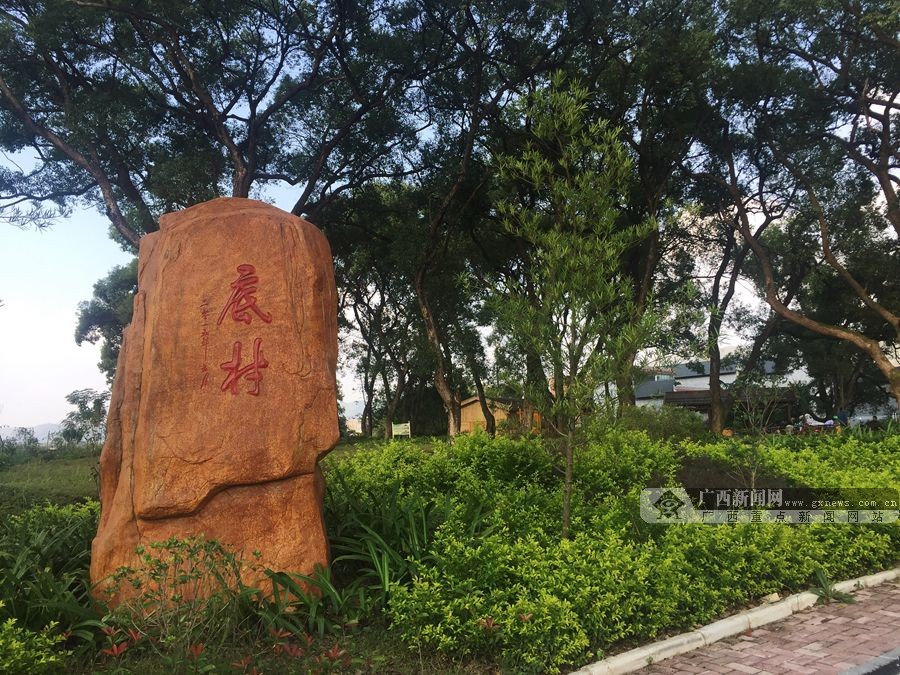 行采访团深入钟山县底村,采访该村村屯绿化改造和生态乡村建设经验