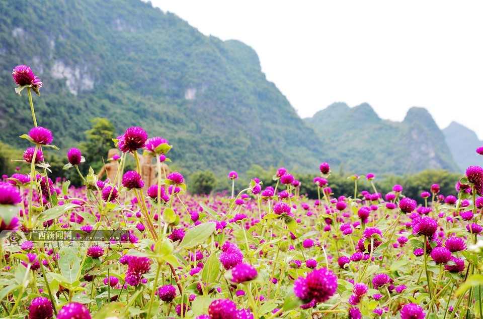 ļݹĴñʽƶֵõ(ͼ)