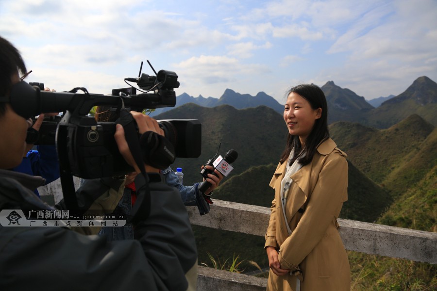 ߰Ūҵʹ԰ɽ ư磨ͼ