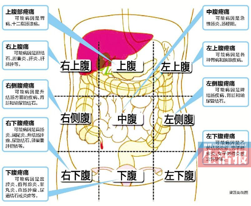 肚子痛别大意 看九宫格找病因 医生:肚子疼痛超过两天未缓解应马上