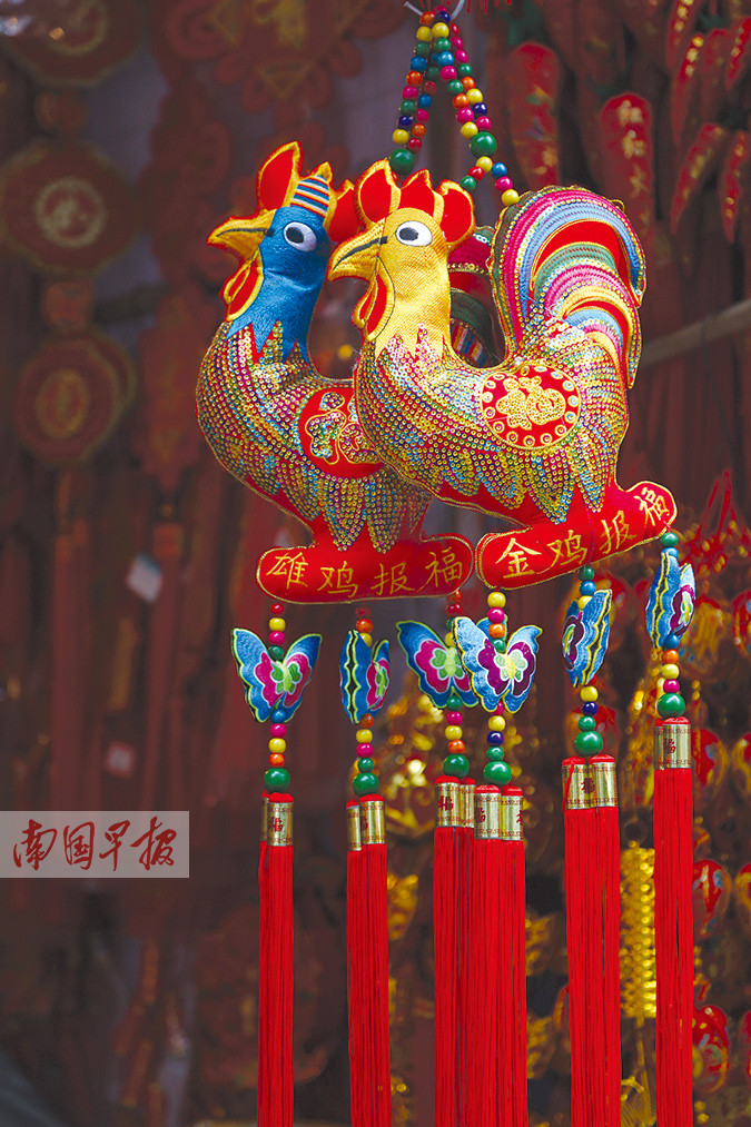 1月16日焦点图广西鸡姓传奇演化131