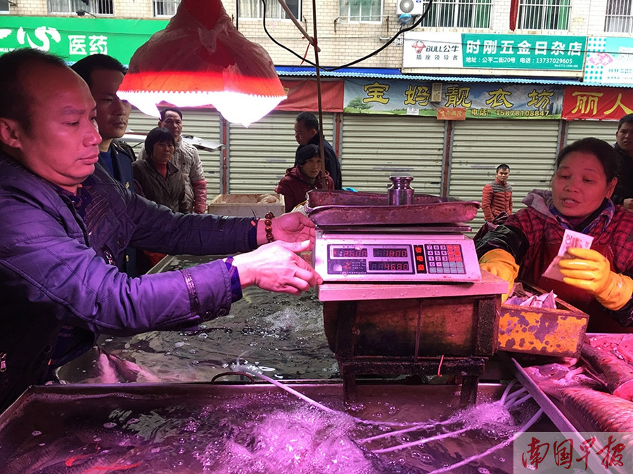 南宁突检农贸市场电子秤活禽水产行电子秤猫腻多
