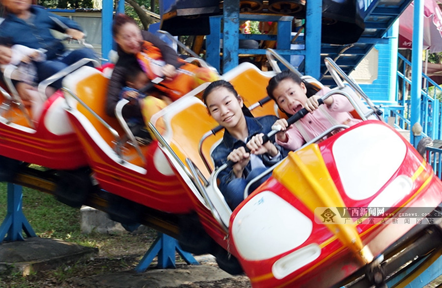 1月29日,大年初二,南宁市人民公园里,游客坐过山车开心度假.