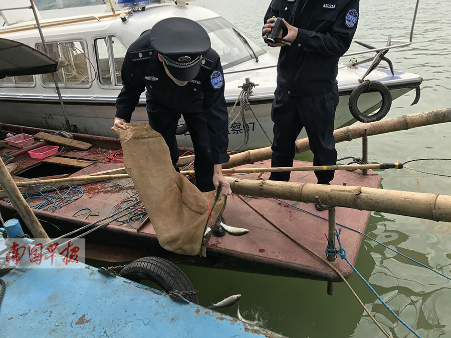 八字杆钢丝绳电鱼图图片