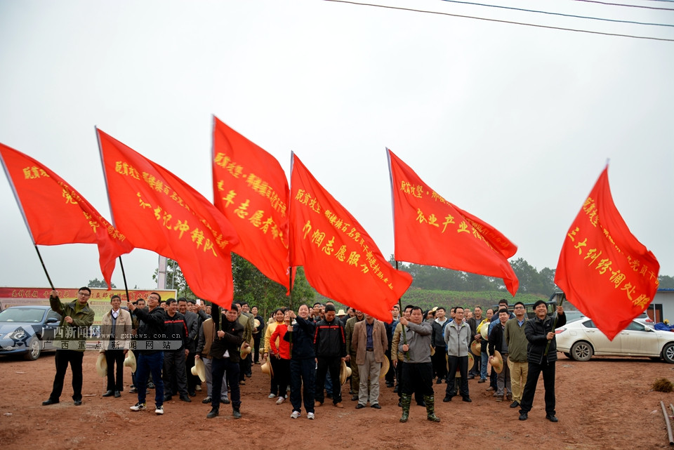 那楼镇党委书记陆文威分别授予各队队长"那楼镇第一书记冲锋队""那楼