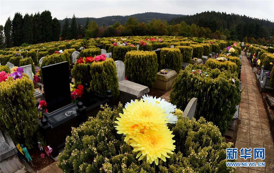 昆明:绿色环保祭扫成风尚 (2)