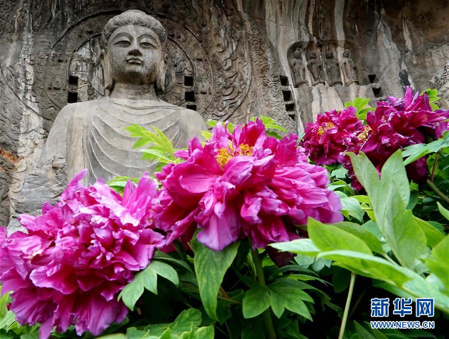 洛阳文化传播:历史与现代交织的艺术盛宴