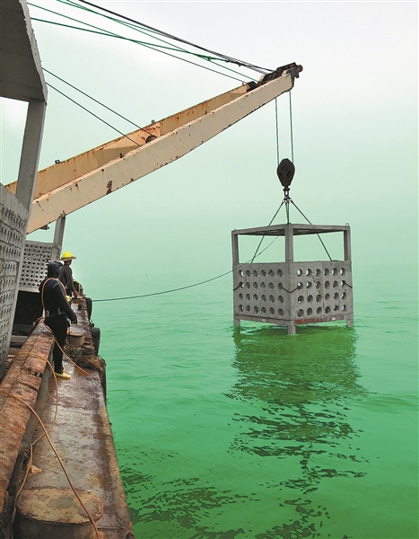 随着最后一个人工礁体投入白龙珍珠湾海域,标志着防城港市白龙珍珠港