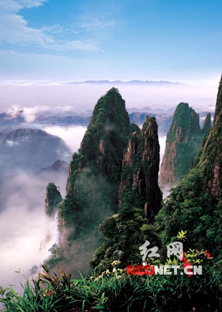 莽山国家森林公园   湖南莽山国家森林公园以蟒蛇出没,林海莽莽而