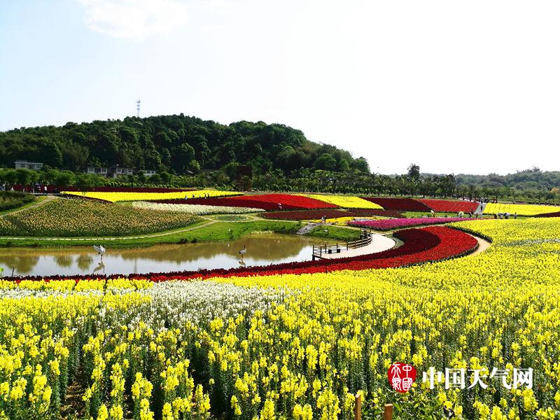 四川长宁蜀南花海,依山而建,沿淯江河打造,占地8000亩,位于宜宾长宁县