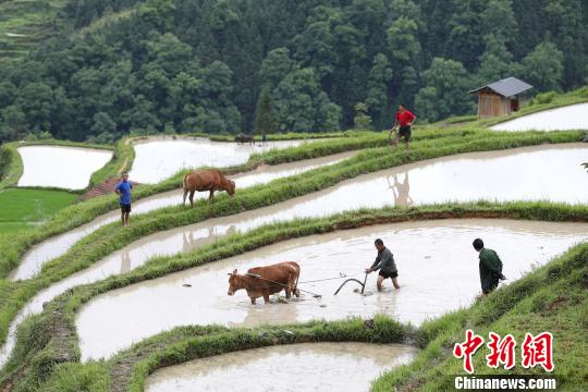 在传承农耕文化的基础上要学会创新,与现代相结合发展有机农业和旅游