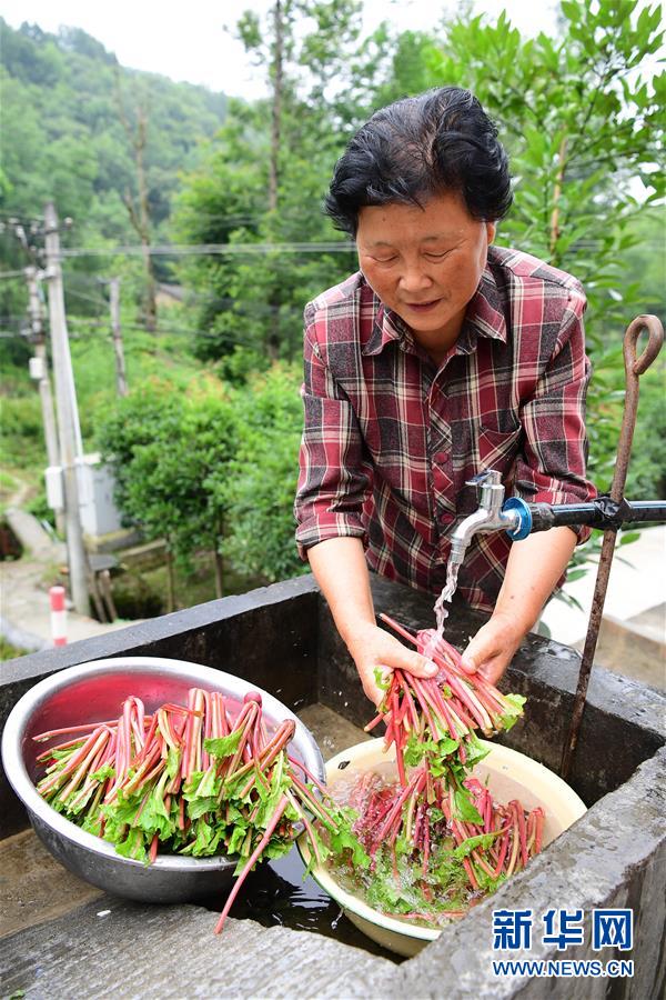 陕西汉滨金融扶贫造福农村群众