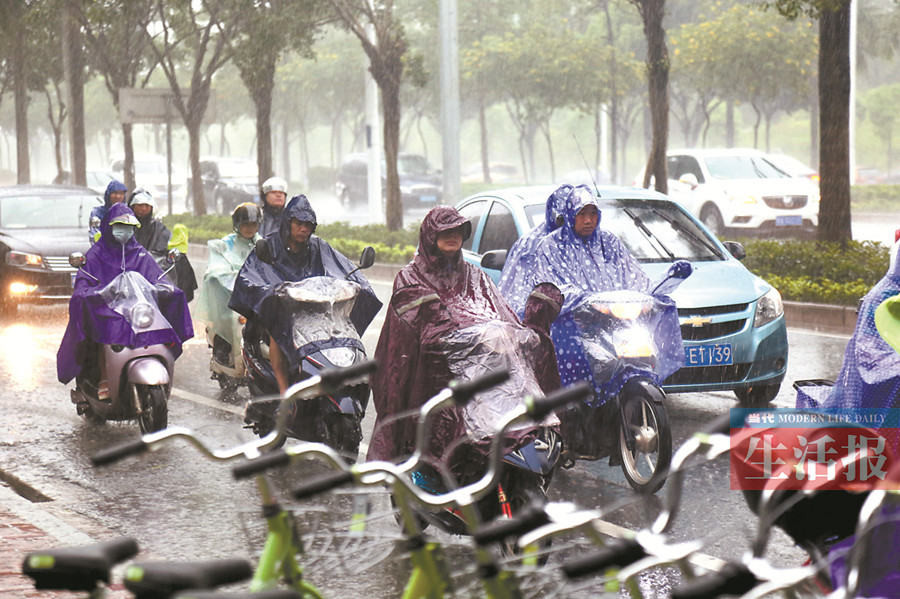 昨天傍晚,市民冒雨下班回家.