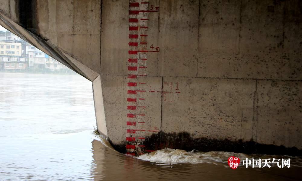 漓江水位已过警戒水位(摄影:谭宇)
