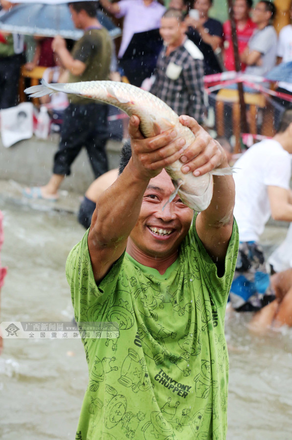 融安六月六闹鱼节捕鱼达人徒手抓大鱼图