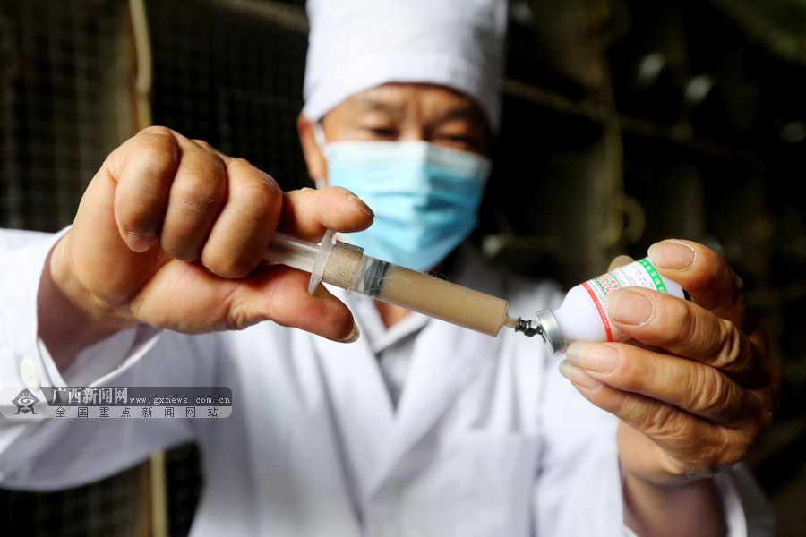 养殖户朱远清在给肉兔打防疫针.广西新闻网通讯员 谭凯兴 摄