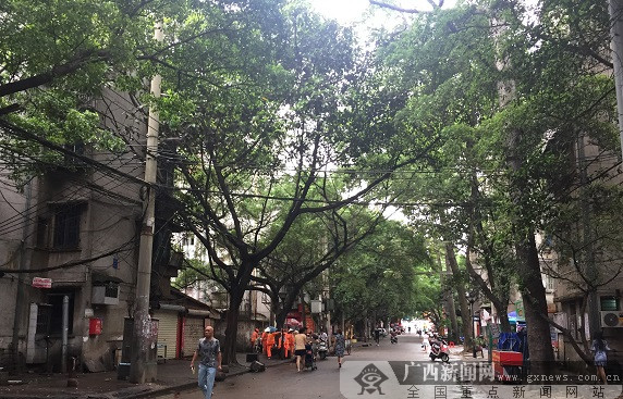 柳州市柳南区:联合整治显成效 红光小区"大变身"