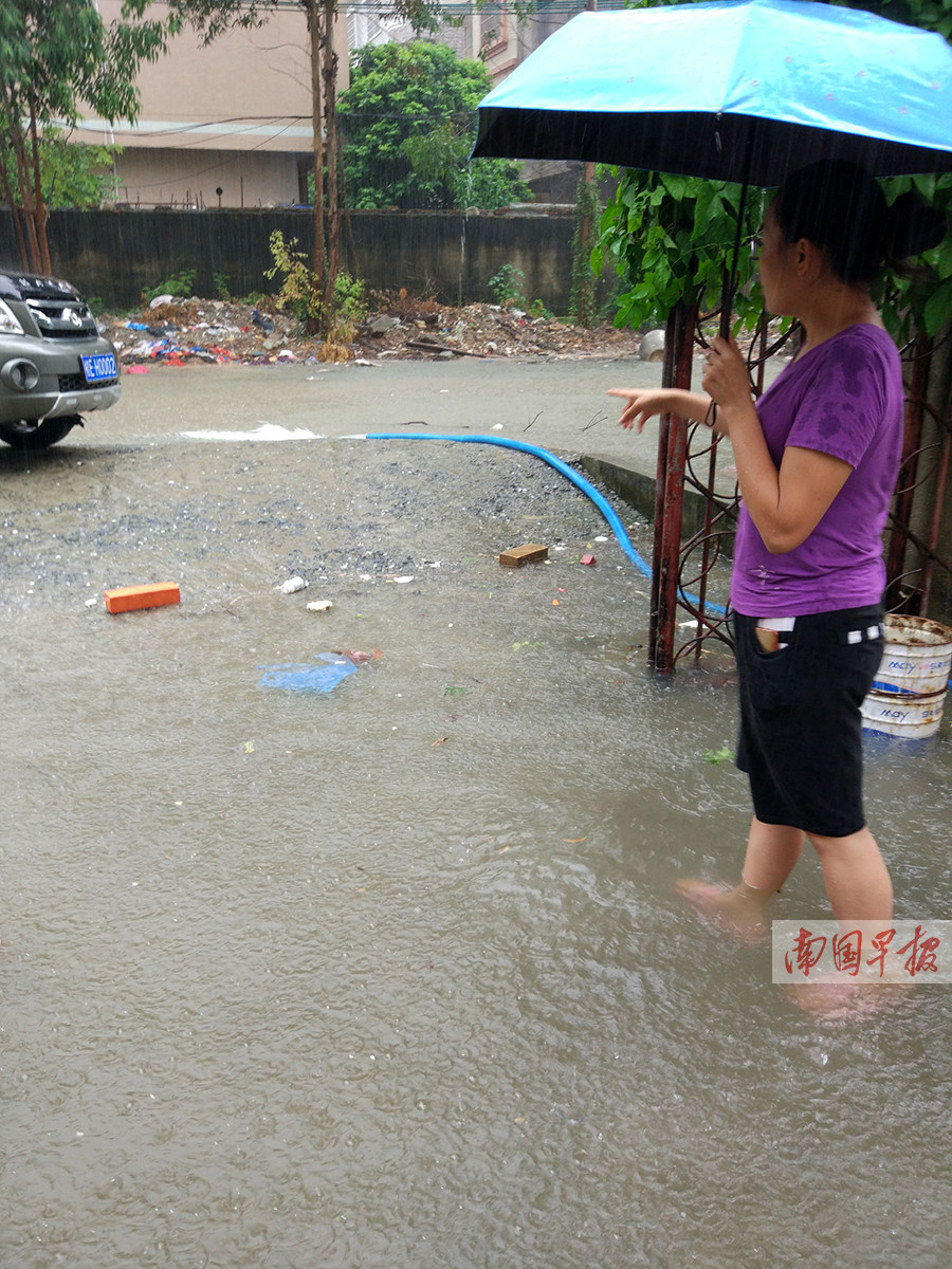 8月4日焦點圖:浦北一居民區眼鏡蛇出沒-廣西新聞圖集