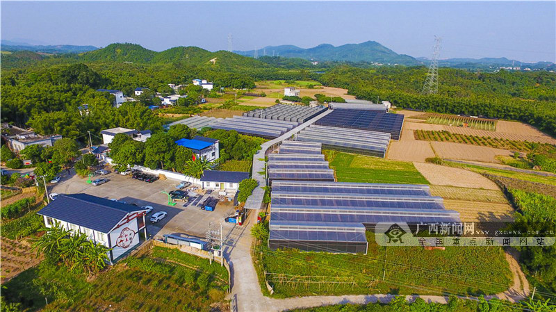 东兴:乡村宜居 乡风怡人(图)(2/5)